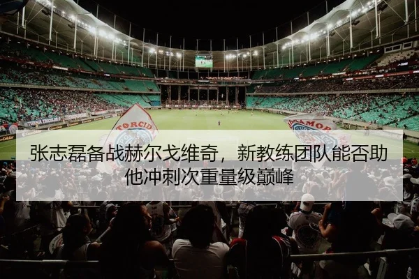 张志磊备战赫尔戈维奇，新教练团队能否助他冲刺次重量级巅峰